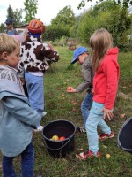 IMG_20250909_101313-Klein
