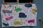 IMG_7802-Klein