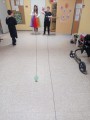 IMG_20250303_111136-Klein