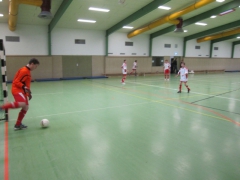 IMG_3377 (Medium)