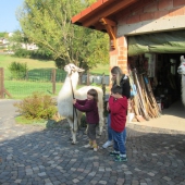 IMG_2032 (Small)