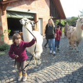 IMG_2035 (Small)