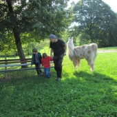 IMG_2051 (Small)