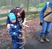 20151215_093739 (Small)