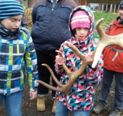 20151215_093754 (Small)