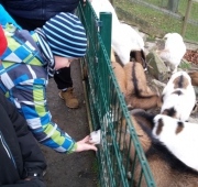 20151215_094422 (Small)
