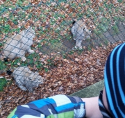 20151215_095111 (Small)