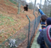 20151215_095404 (Small)