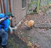 20151215_100422 (Small)