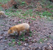 20151215_100651 (Small)