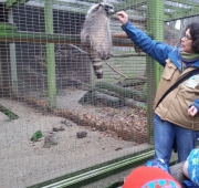 20151215_101745 (Small)