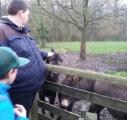 20151215_105330 (Small)