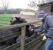20151215_105635 (Small)