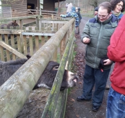 20151215_105809 (Small)