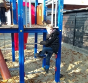 20151104_120145 (Small)