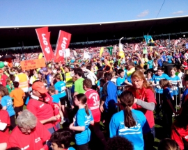 IMG_20140503_171936 (Medium)