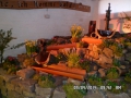 SAM_0011