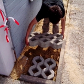 IMG_20150512_095800 (Small)