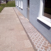 IMG_20150724_111151 (Small)