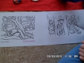 SAM_0027