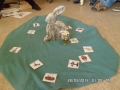 SAM_0078