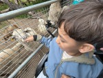 IMG_42601-Klein
