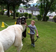 20160709_125702 (Small)