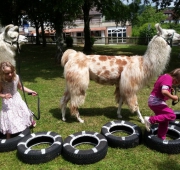 20160709_125743 (Small)