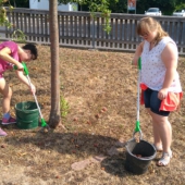 IMG_20180809_104610-Klein