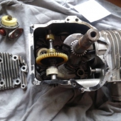 IMG_20190301_110132-Klein