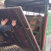 IMG_20190319_111251-Klein