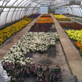 IMG_20190319_124900-Klein