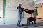 IMG_0027-Klein